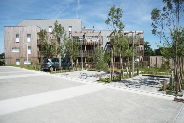 LE CAMBIUM 